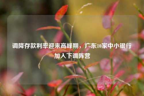 调降存款利率迎来高峰期，广东10家中小银行加入下调阵营