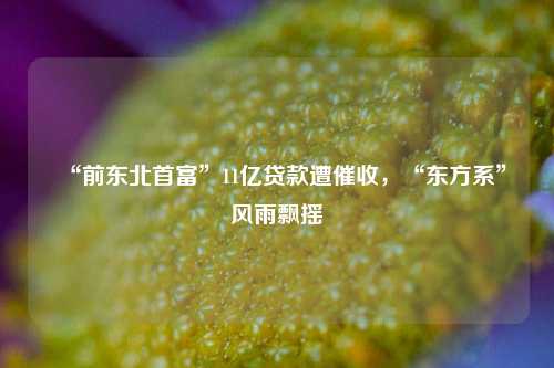 “前东北首富”11亿贷款遭催收，“东方系”风雨飘摇