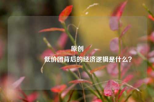 原创 低价团背后的经济逻辑是什么？