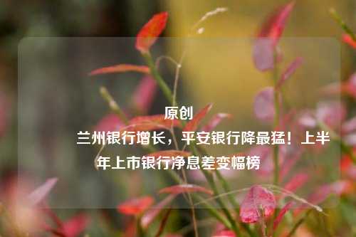 原创 兰州银行增长，平安银行降最猛！上半年上市银行净息差变幅榜