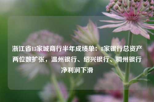 浙江省13家城商行半年成绩单：8家银行总资产两位数扩张，温州银行、绍兴银行、稠州银行净利润下滑