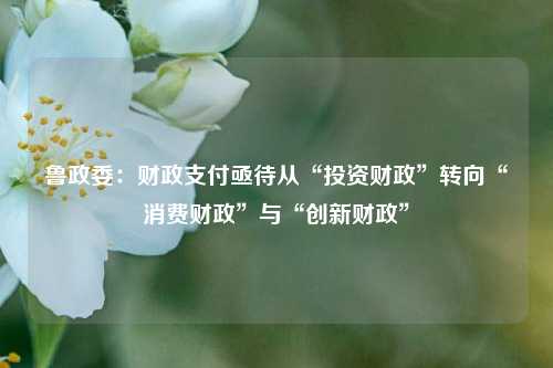 鲁政委：财政支付亟待从“投资财政”转向“消费财政”与“创新财政”