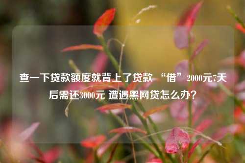 查一下贷款额度就背上了贷款 “借”2000元7天后需还3000元 遭遇黑网贷怎么办？