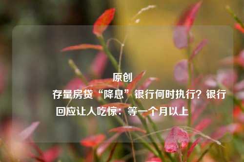 原创 存量房贷“降息”银行何时执行？银行回应让人吃惊：等一个月以上