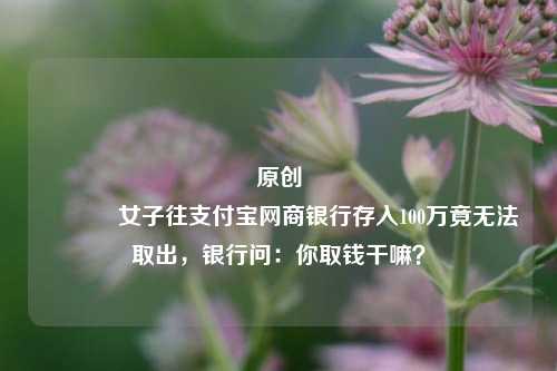 原创 女子往支付宝网商银行存入100万竟无法取出，银行问：你取钱干嘛？