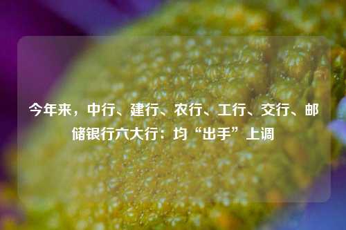 今年来，中行、建行、农行、工行、交行、邮储银行六大行：均“出手”上调