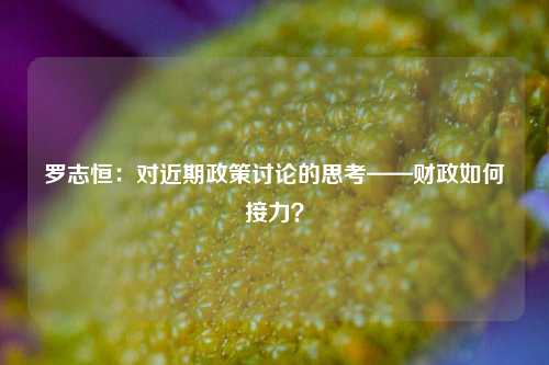 罗志恒：对近期政策讨论的思考——财政如何接力？