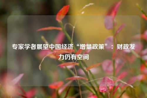专家学者展望中国经济“增量政策”：财政发力仍有空间