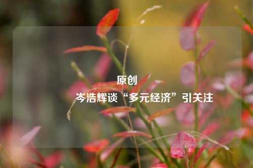 原创 岑浩辉谈“多元经济”引关注