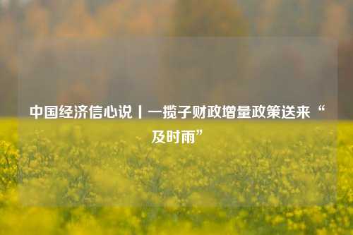 中国经济信心说丨一揽子财政增量政策送来“及时雨” 债务 一揽子 行业新闻 第1张