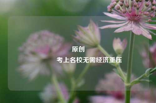 原创 考上名校无需经济重压