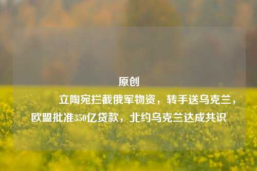 原创 立陶宛拦截俄军物资，转手送乌克兰，欧盟批准350亿贷款，北约乌克兰达成共识