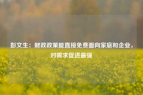 彭文生：财政政策能直接免费面向家庭和企业，对需求促进最强