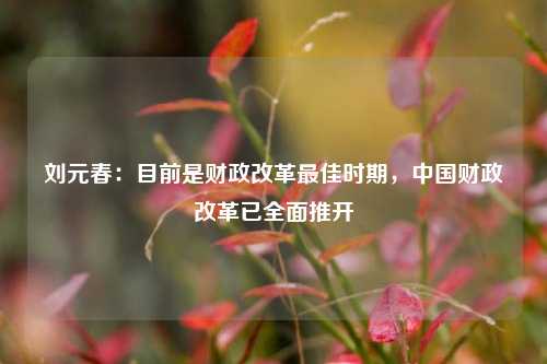 刘元春：目前是财政改革最佳时期，中国财政改革已全面推开