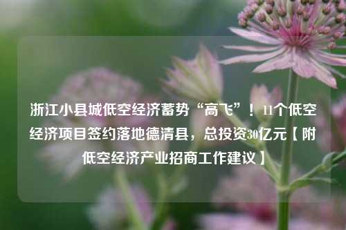浙江小县城低空经济蓄势“高飞”！11个低空经济项目签约落地德清县，总投资30亿元【附低空经济产业招商工作建议】