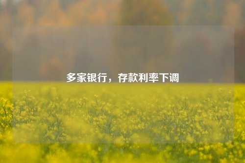 多家银行，存款利率下调