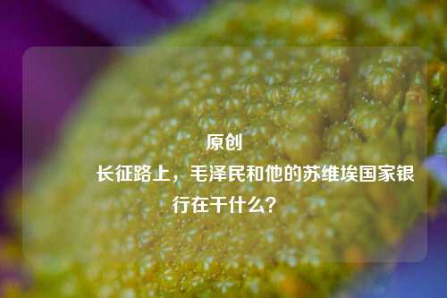 原创 长征路上，毛泽民和他的苏维埃国家银行在干什么？