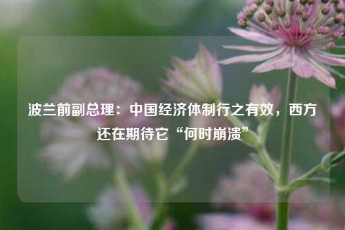 波兰前副总理：中国经济体制行之有效，西方还在期待它“何时崩溃”