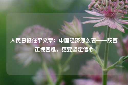 人民日报任平文章：中国经济怎么看——既要正视困难，更要坚定信心
