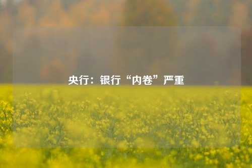 央行：银行“内卷”严重