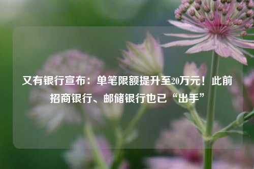 又有银行宣布：单笔限额提升至20万元！此前招商银行、邮储银行也已“出手”