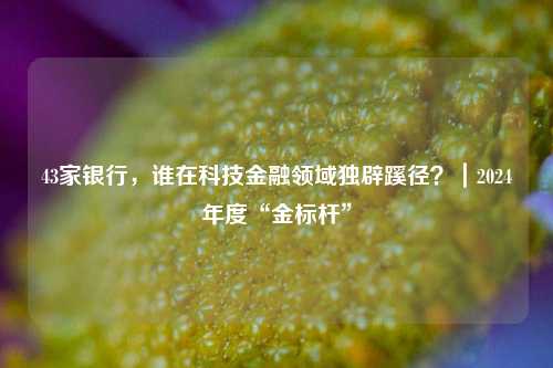 43家银行，谁在科技金融领域独辟蹊径？｜2024年度“金标杆”