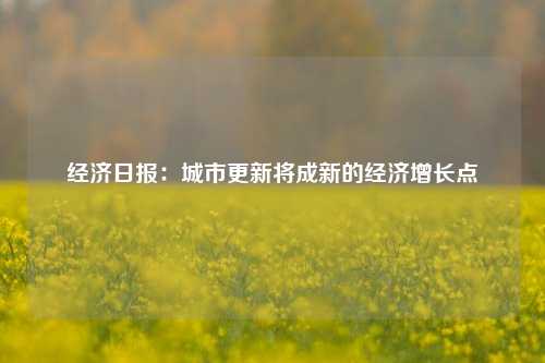 经济日报：城市更新将成新的经济增长点