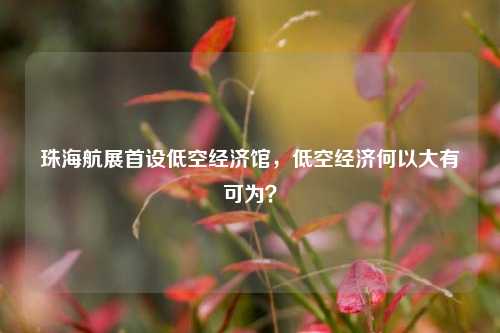 珠海航展首设低空经济馆，低空经济何以大有可为？