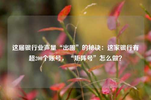 这届银行业声量“出圈”的秘诀：这家银行有超200个账号，“矩阵号”怎么做？