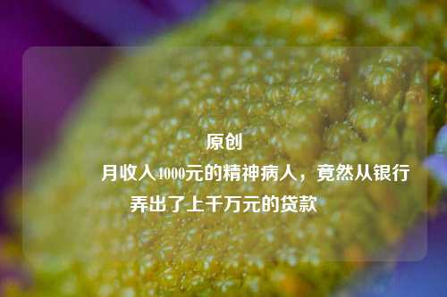 原创 月收入4000元的精神病人，竟然从银行弄出了上千万元的贷款