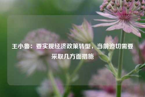 王小鲁：要实现经济政策转型，当前迫切需要采取几方面措施