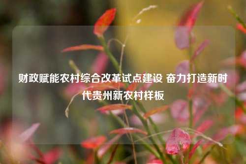财政赋能农村综合改革试点建设 奋力打造新时代贵州新农村样板