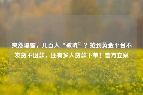 突然爆雷，几百人“被坑”？抢到黄金平台不发货不退款，还有多人贷款下单！警方立案