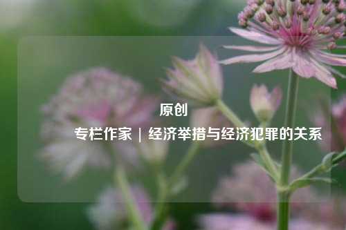 原创 专栏作家 | 经济举措与经济犯罪的关系
