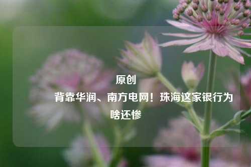 原创 背靠华润、南方电网！珠海这家银行为啥还惨