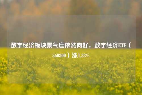 数字经济板块景气度依然向好，数字经济ETF（560800）涨1.33%