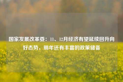 国家发展改革委：11、12月经济有望延续回升向好态势，明年还有丰富的政策储备