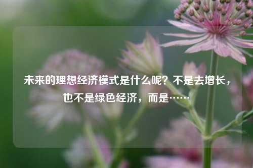未来的理想经济模式是什么呢？不是去增长，也不是绿色经济，而是……