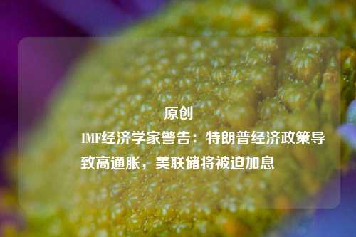 原创 IMF经济学家警告：特朗普经济政策导致高通胀，美联储将被迫加息