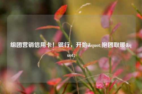 组团营销信用卡！银行，开始"抱团取暖"