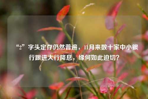 “2”字头定存仍然普遍，11月来数十家中小银行跟进大行降息，缘何如此迫切？