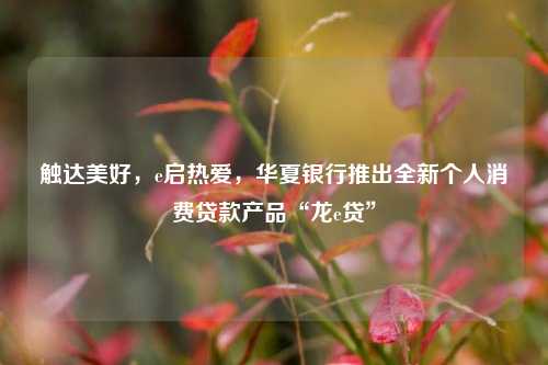 触达美好，e启热爱，华夏银行推出全新个人消费贷款产品“龙e贷”