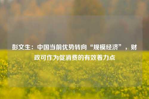 彭文生：中国当前优势转向“规模经济”，财政可作为促消费的有效着力点