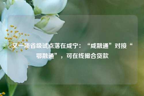 又一项省级试点落在咸宁：“咸融通”对接“鄂融通”，可在线撮合贷款