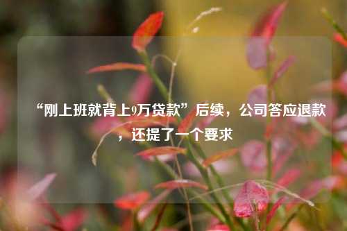 “刚上班就背上9万贷款”后续，公司答应退款，还提了一个要求