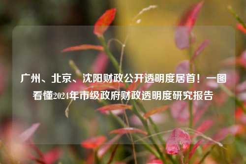 广州、北京、沈阳财政公开透明度居首！一图看懂2024年市级政府财政透明度研究报告