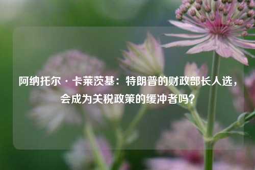 阿纳托尔·卡莱茨基：特朗普的财政部长人选，会成为关税政策的缓冲者吗？