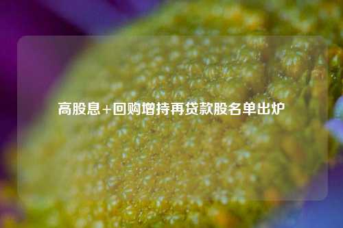 高股息+回购增持再贷款股名单出炉
