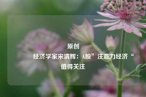 原创 经济学家宋清辉：A股”注意力经济“值得关注