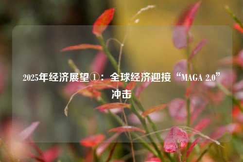 2025年经济展望①：全球经济迎接“MAGA 2.0”冲击